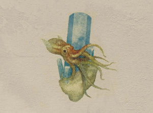 Aguamarina