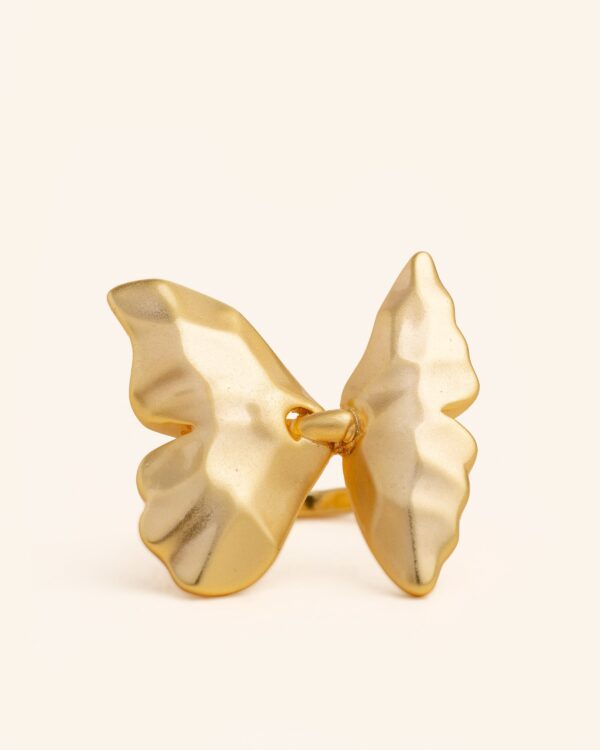 Anillo Metamorfosis