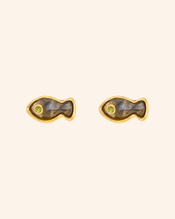 Pendientes  Darwin con Labradorita