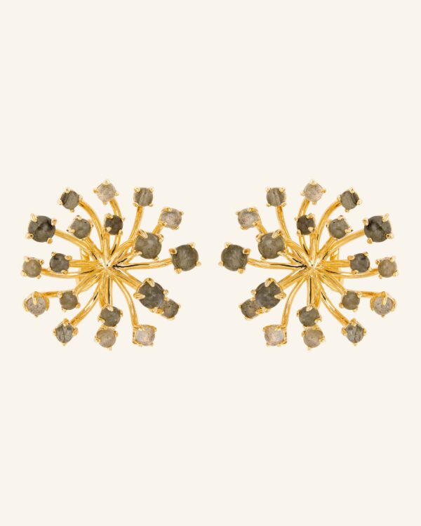 Pendientes Magnolia con labradorita